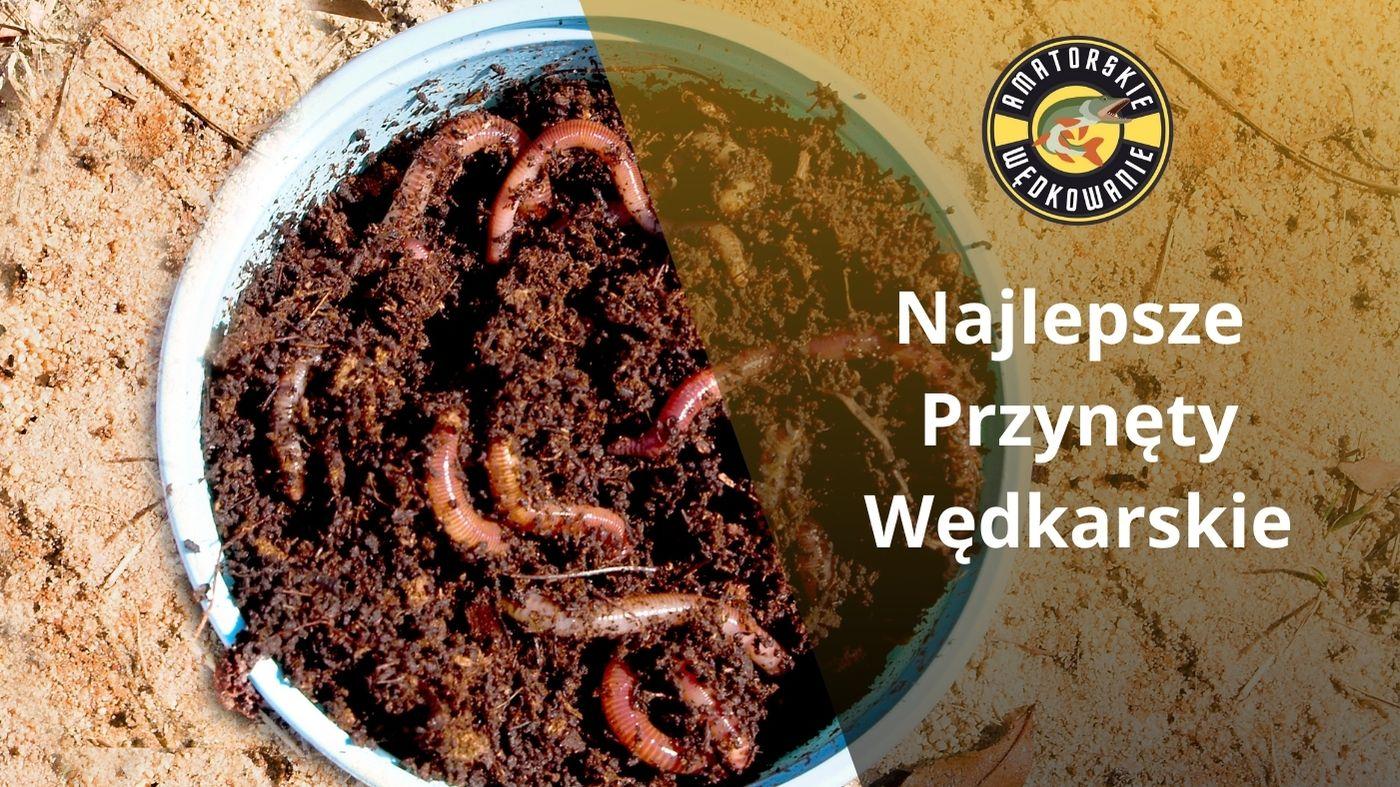 Najlepsze Przynęty Wędkarskie