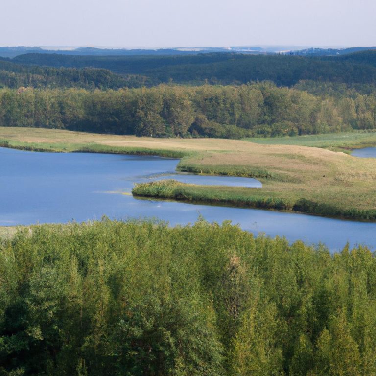 Jezioro Bysławskie Amatorskie Wędkowanie 8994