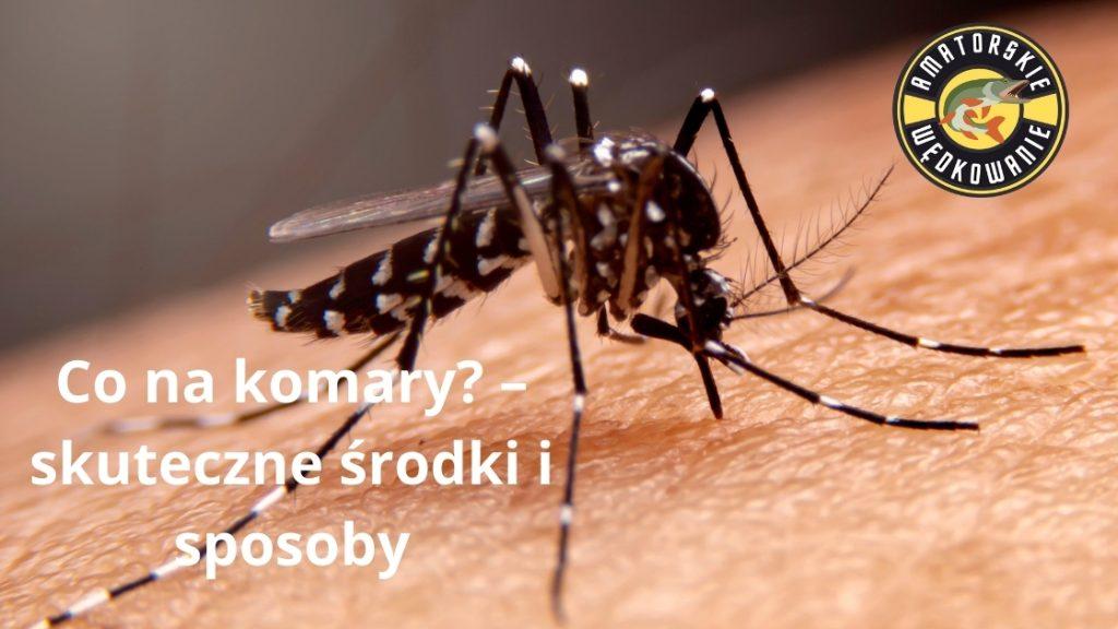 Co na komary?
