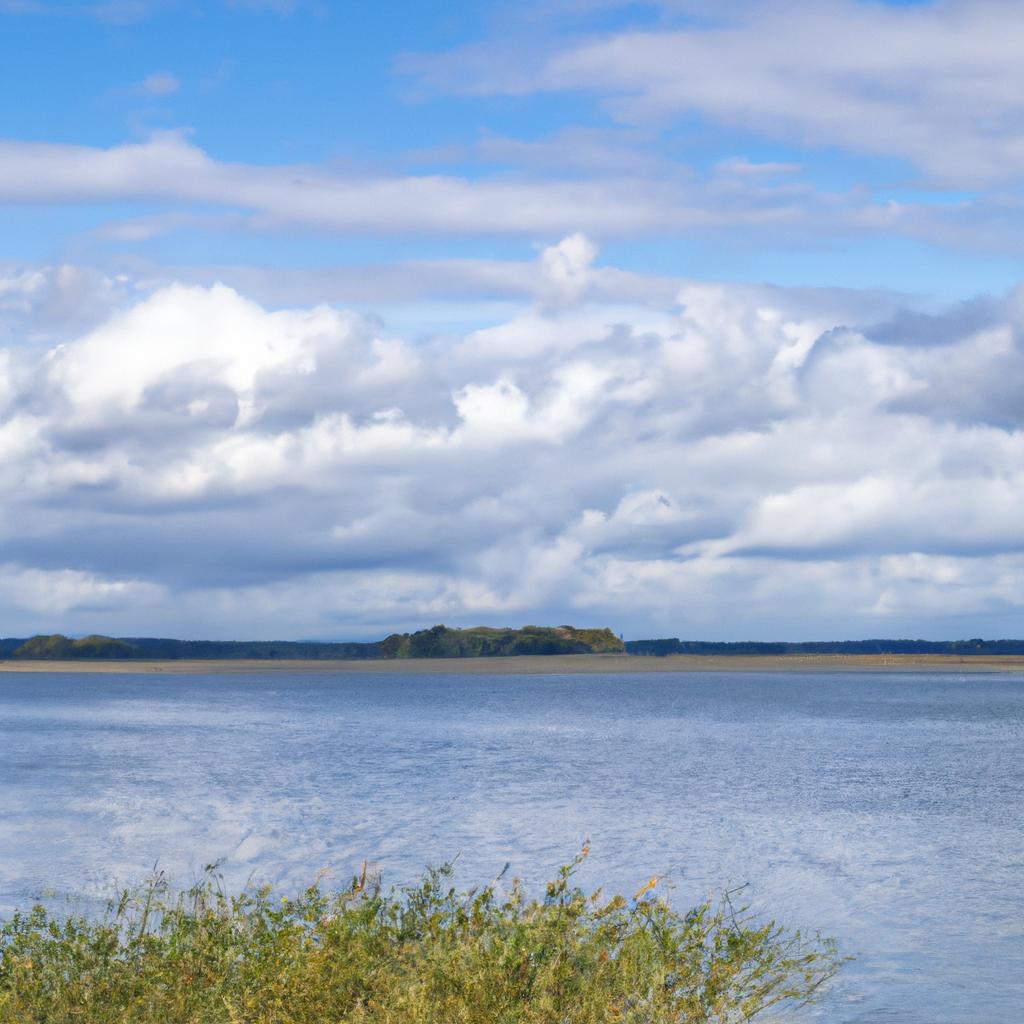 Jezioro Dankowskie Amatorskie Wędkowanie 7424