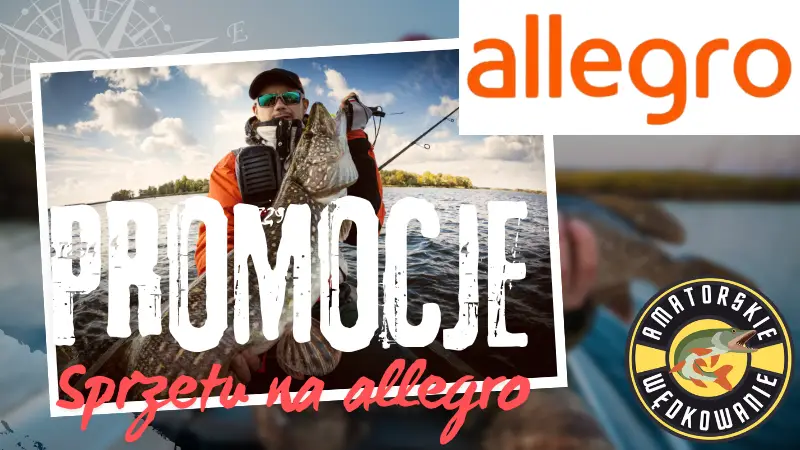 promocje allegro