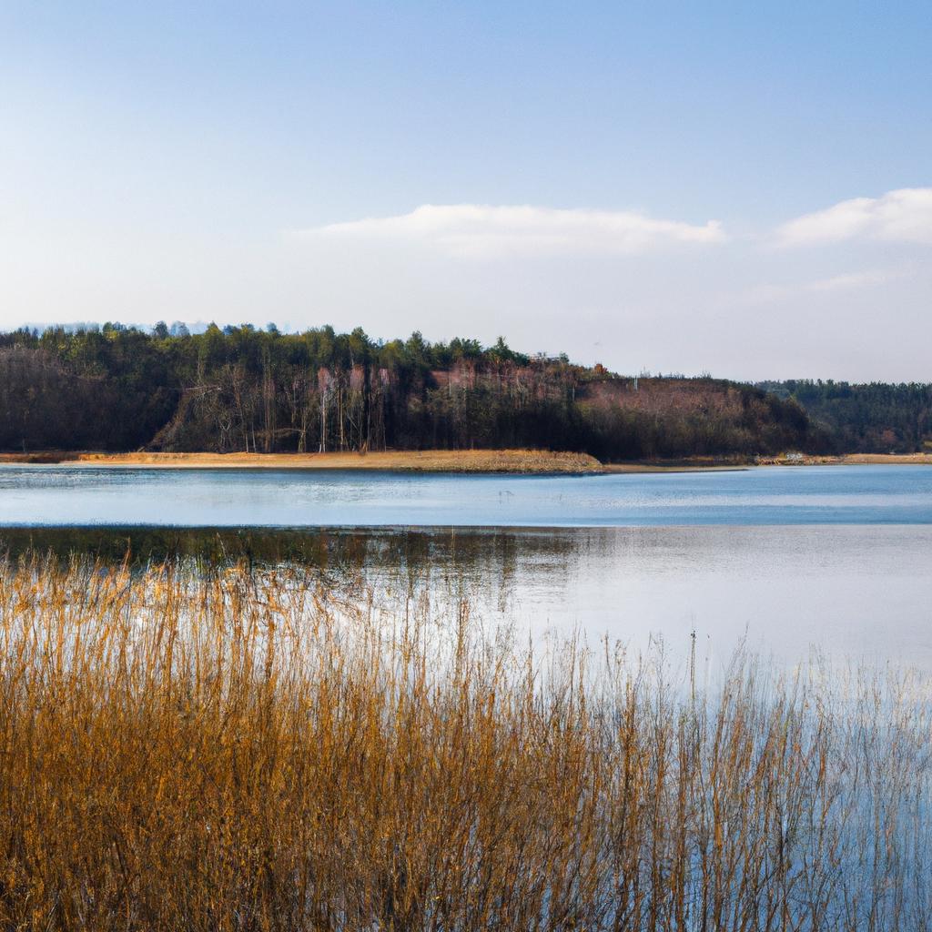 Jezioro Białe Augustowskie