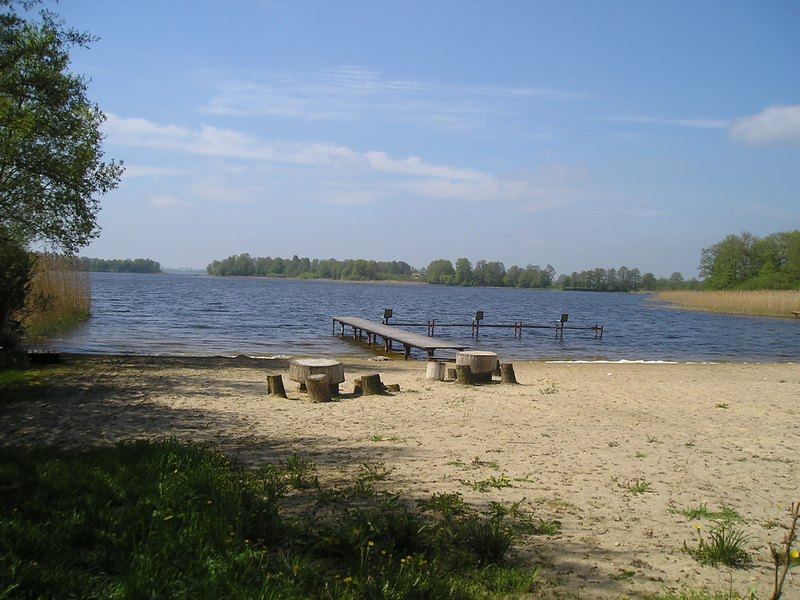 jezioro łabędź