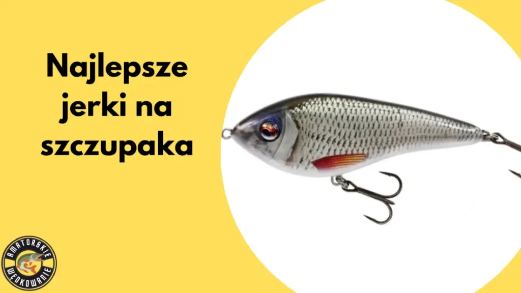 najlepsze jerki na szczupaka