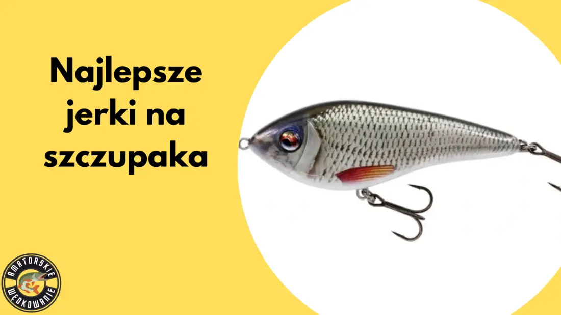 najlepsze jerki na szczupaka