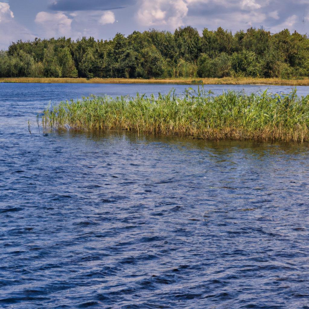 Jezioro Dąbrowa Wielka