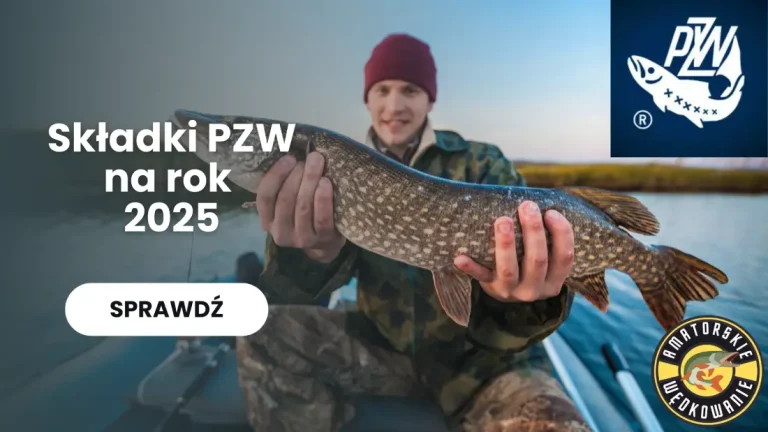 Składki PZW 2025